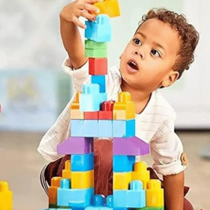 Humming Bird Kid's 80 Pcs Big Mega Sized Blocks Toys Building and Construction Block Set for Children Boys and Girls